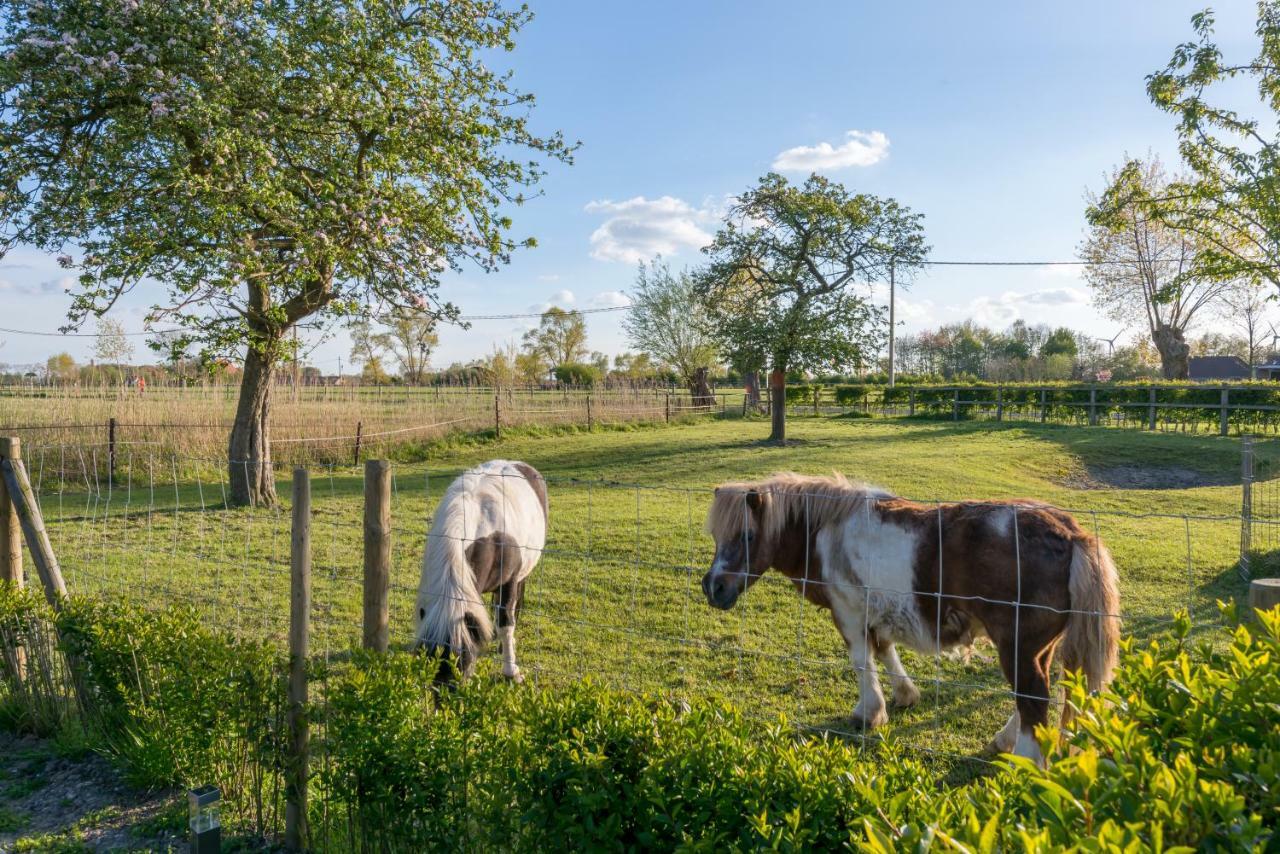 Hoeve De Zuidhoek Брюж Екстериор снимка
